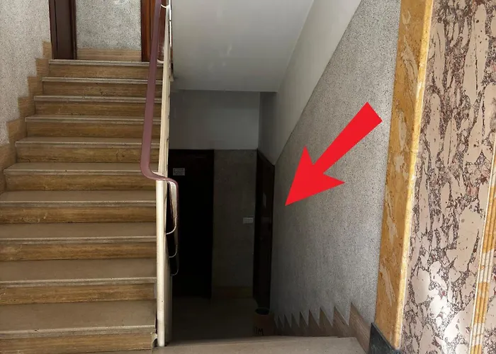 Appartement Alocasia Quinto Cecilio 2b